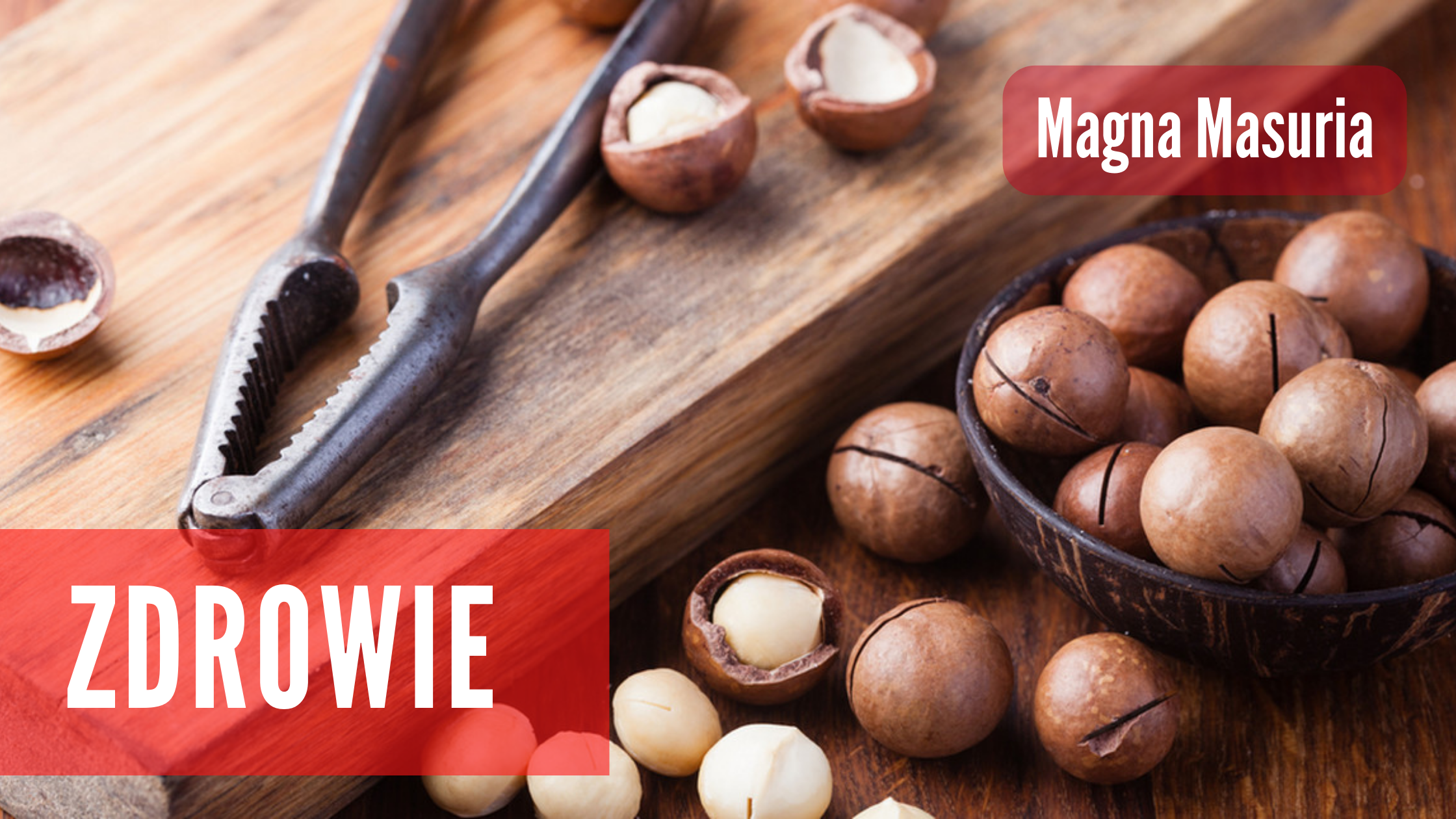 Nueces de Macadamia – Tesoro de la Salud – Magna Masuria