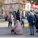 KĘTRZYN: Plenerowa wystawa przed Ratuszem „Do serca przytul psa, weź na kolana kota”