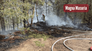 POLICJAXD_20250503_130148_0000