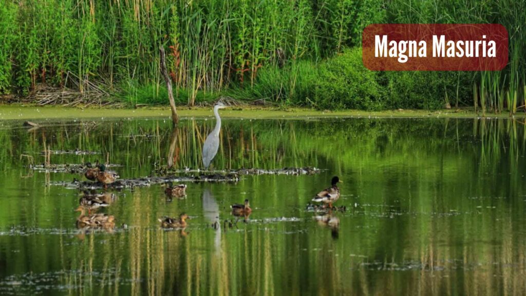 MAGNAMASURIAXD_20260131_092312_0000