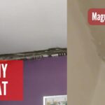 WAŻNY TEMAT: Dzieci marzną, ściany pleśnieją, a zarządca nadal bez realnych działań?