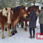 KĘTRZYN: Współpraca szkoły z lokalnym hodowcą. Nowy kierunek w ZSCKR w Karolewie coraz bliżej