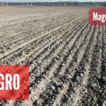 infoAGRO: Ceny tygodnia (16 lutego) – paliwa stabilne, RSM drożeje, rzepak na plusie