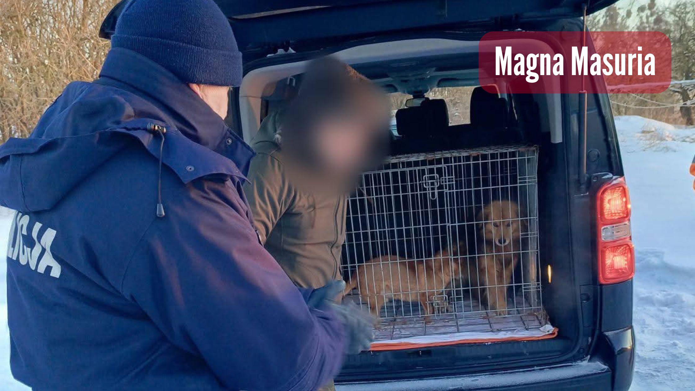 POLICJAXD_20260204_102708_0000